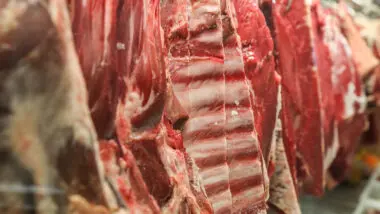 Tarifaço passou a valer no dia 6 de agosto; na média diária até dia 25, Brasil exportou 35% mais carne que no mesmo período de 2024.