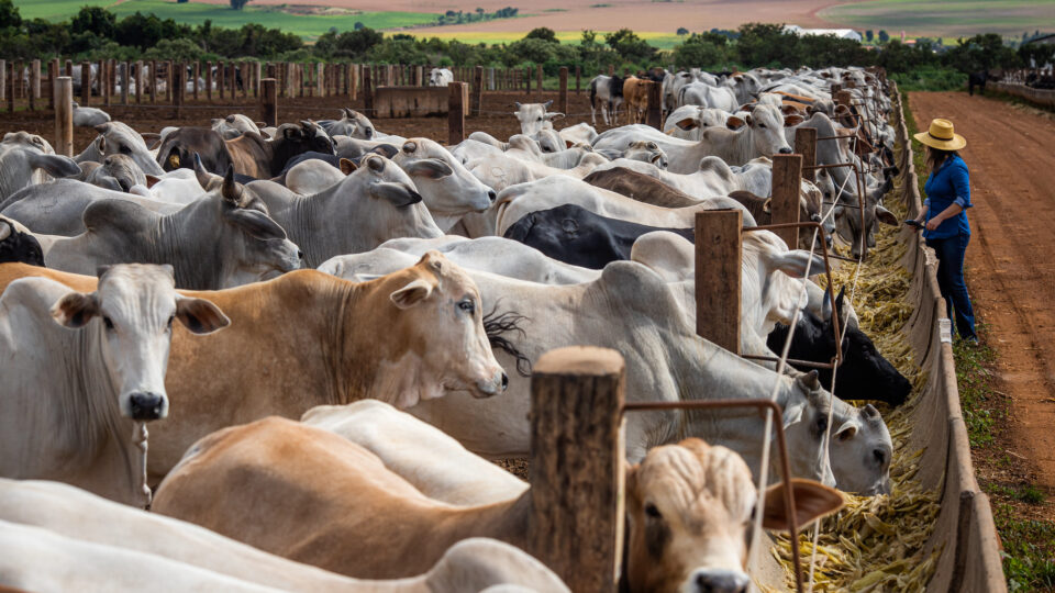 Agro enfrenta onda de calotes e insolvência que deve crescer com ameaça dos EUA