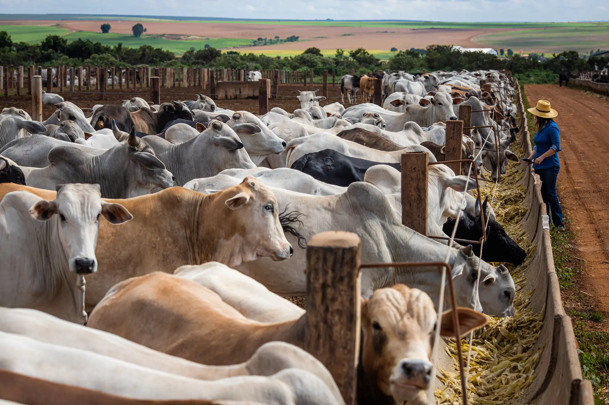 Crise no agronegócio