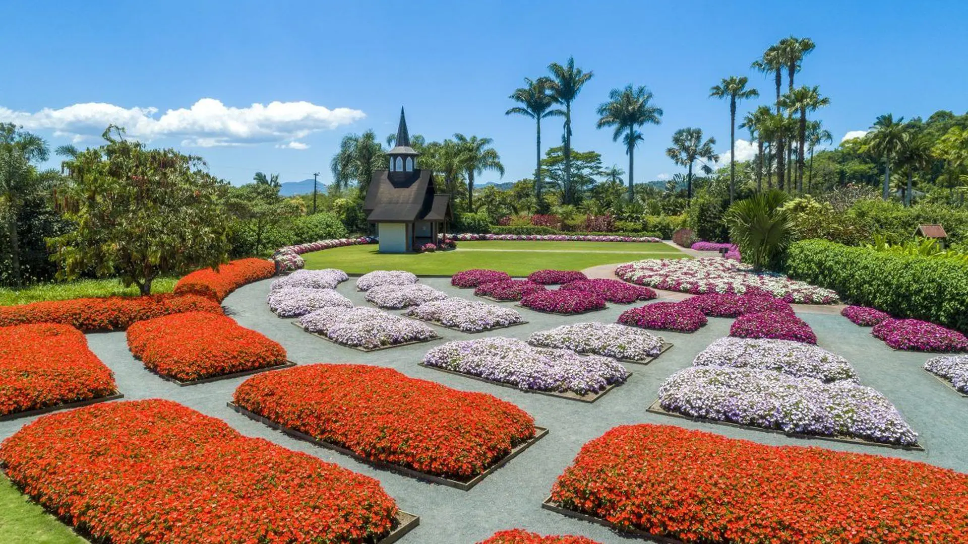 Parque Hemero, em Joinville, encanta com seus jardins temáticos, trilhas e muitas flores.