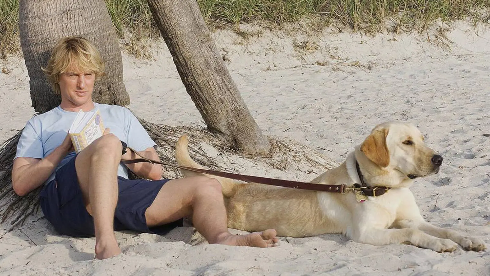 "Marley e Eu" é um dos filmes com cachorros mais lembrados