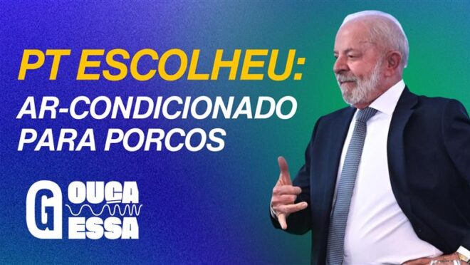 Governo fustiga o agro e quer impor aquecedor e ar-condicionado para criações