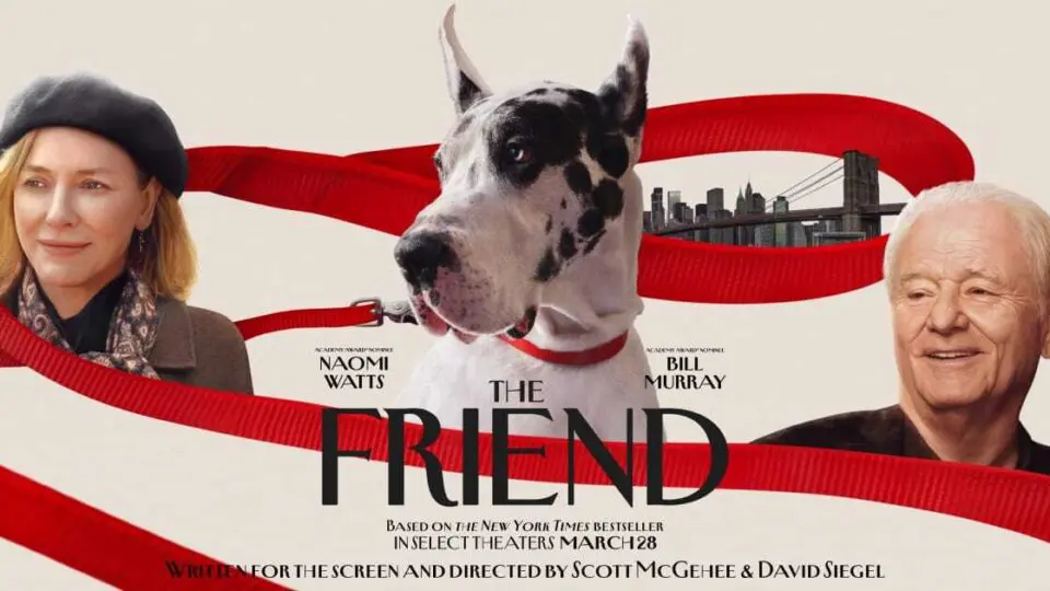 Naomi Watts e Bill Murray dividem "O Amigo" com um cachorro enorme e carismático.