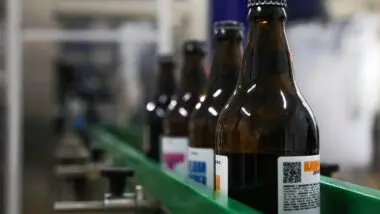 Santa Catarina lidera o Brasil na abertura de novas cervejarias, com 25 estabelecimentos inaugurados em 2024.
