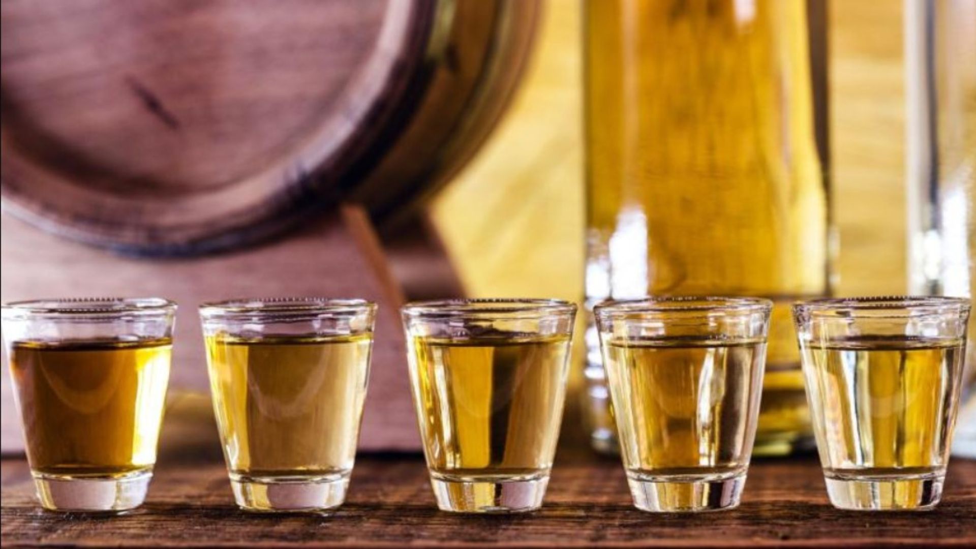 São Paulo aposta na cachaça enquanto explora potencial da cana-de-açúcar