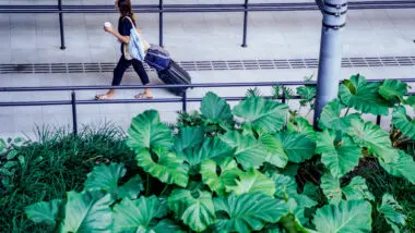 Latam voos direto Florianópolis Porto Alegre