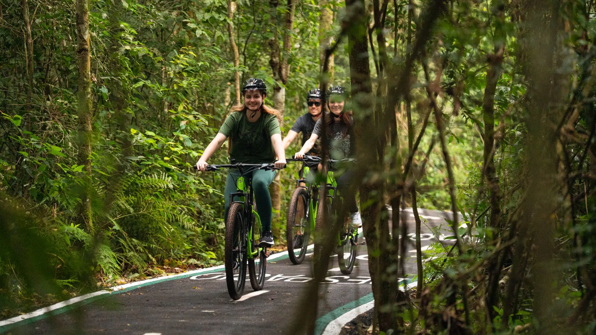 Visitantes podem alugar bicicletas para conhecer o Patrimonio Mundial Natural sobre duas rodas. 