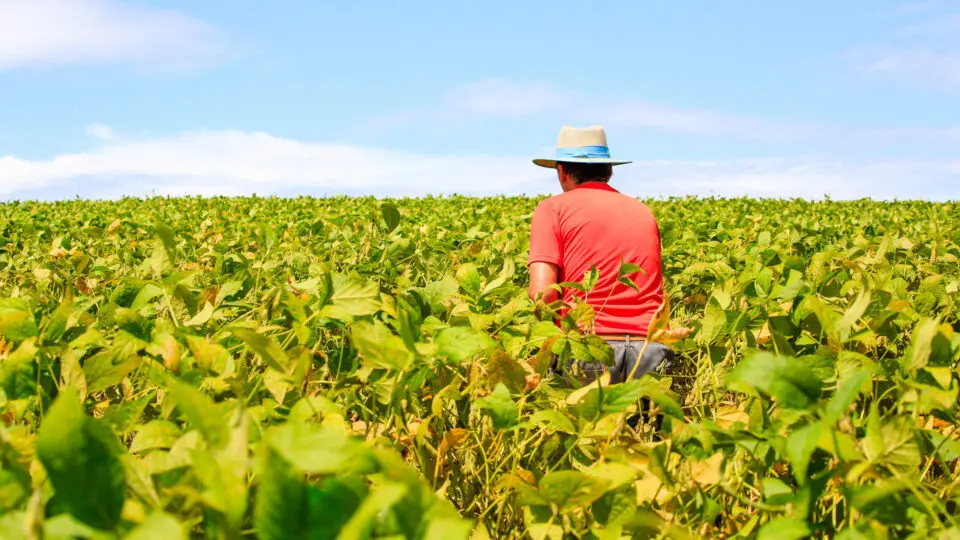 Renegociação de dívidas de produtores rurais terá taxas de juros de 6% a 10% ao ano e prazo de até nove anos para pagamento