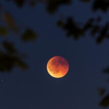 Imagem referente a matéria