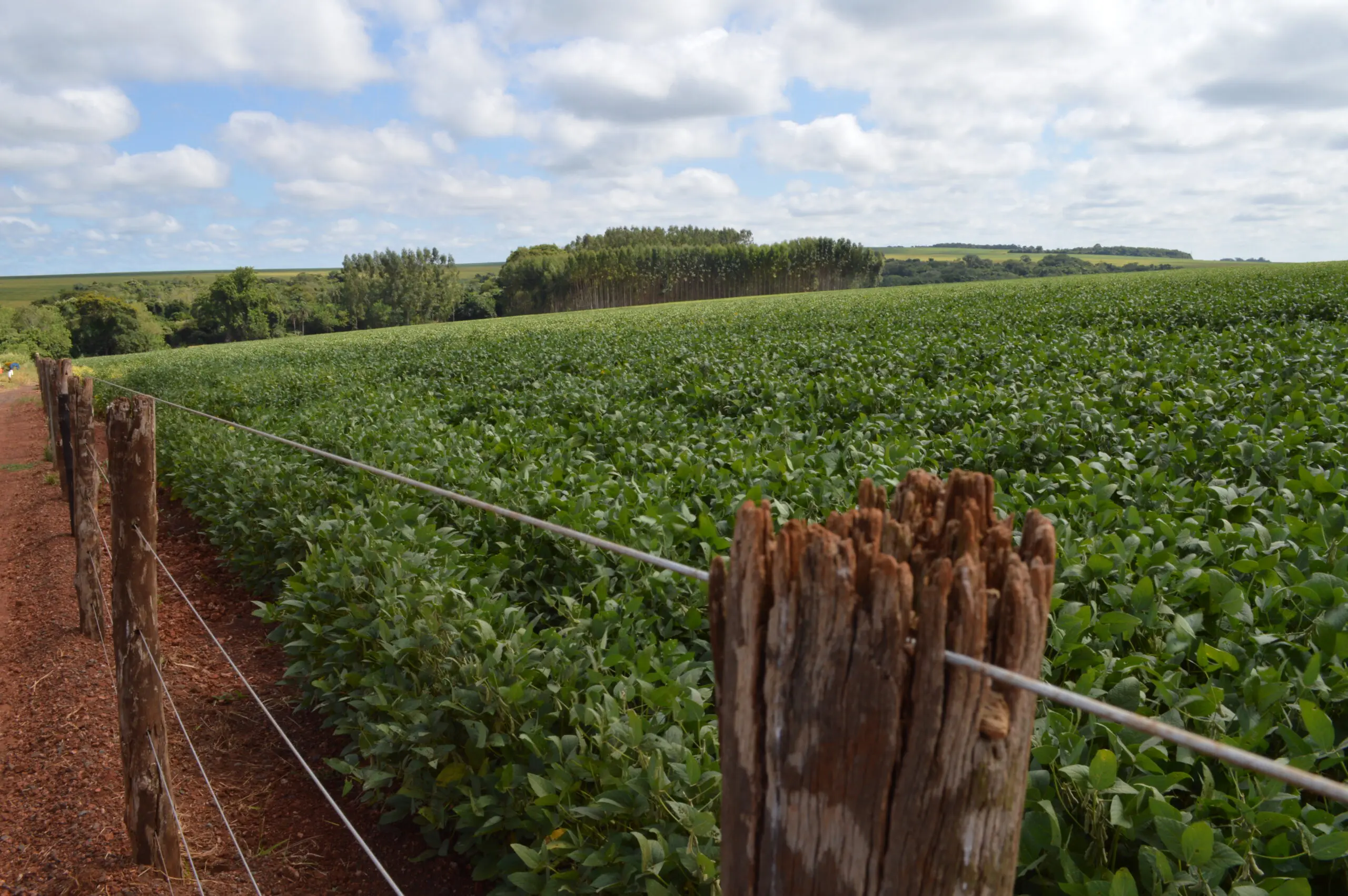 Nova chance na fronteira: prazo para regularização de terras é prorrogado, fortalecendo direitos dos produtores rurais.