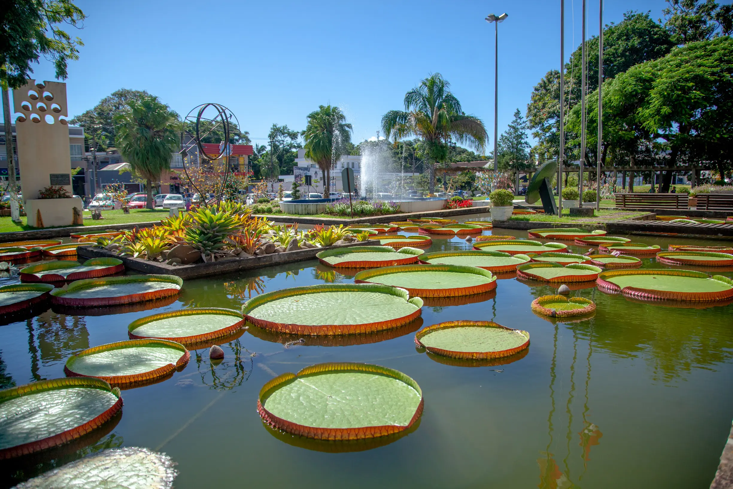 Indaial é marcado pelo Rio Itajaí-Açu e pelas vitórias-régias que embelezam suas águas, símbolo natural da cidade.