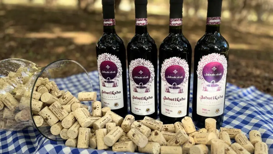 Fazenda Jabuticabal destaca Hidrolândia como polo estratégico na produção de jabuticaba e derivados.