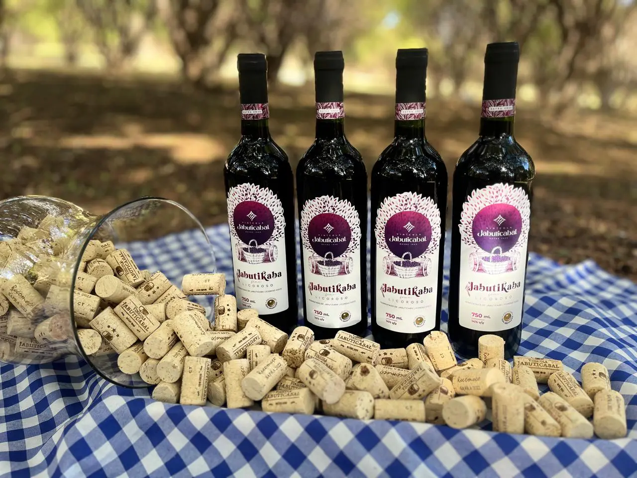 Fazenda Jabuticabal destaca Hidrolândia como polo estratégico na produção de jabuticaba e derivados.