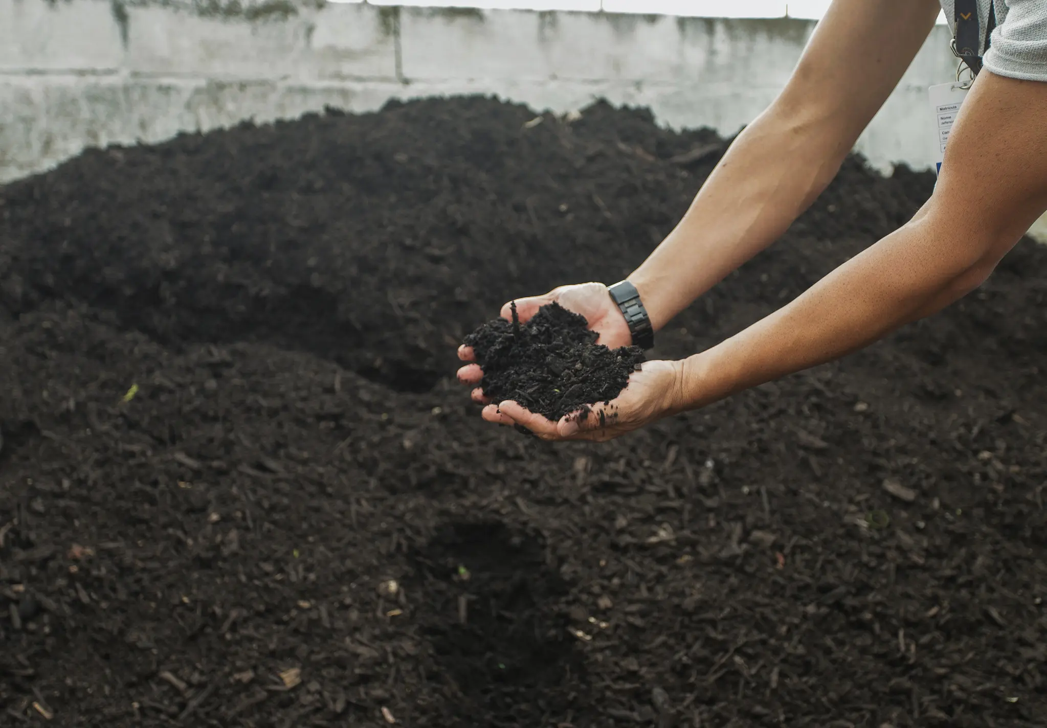 Resíduos orgânicos são transformados em adubo que abastece o programa Cultiva Floripa.