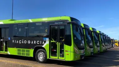 Viação Garcia-Brasil Sul