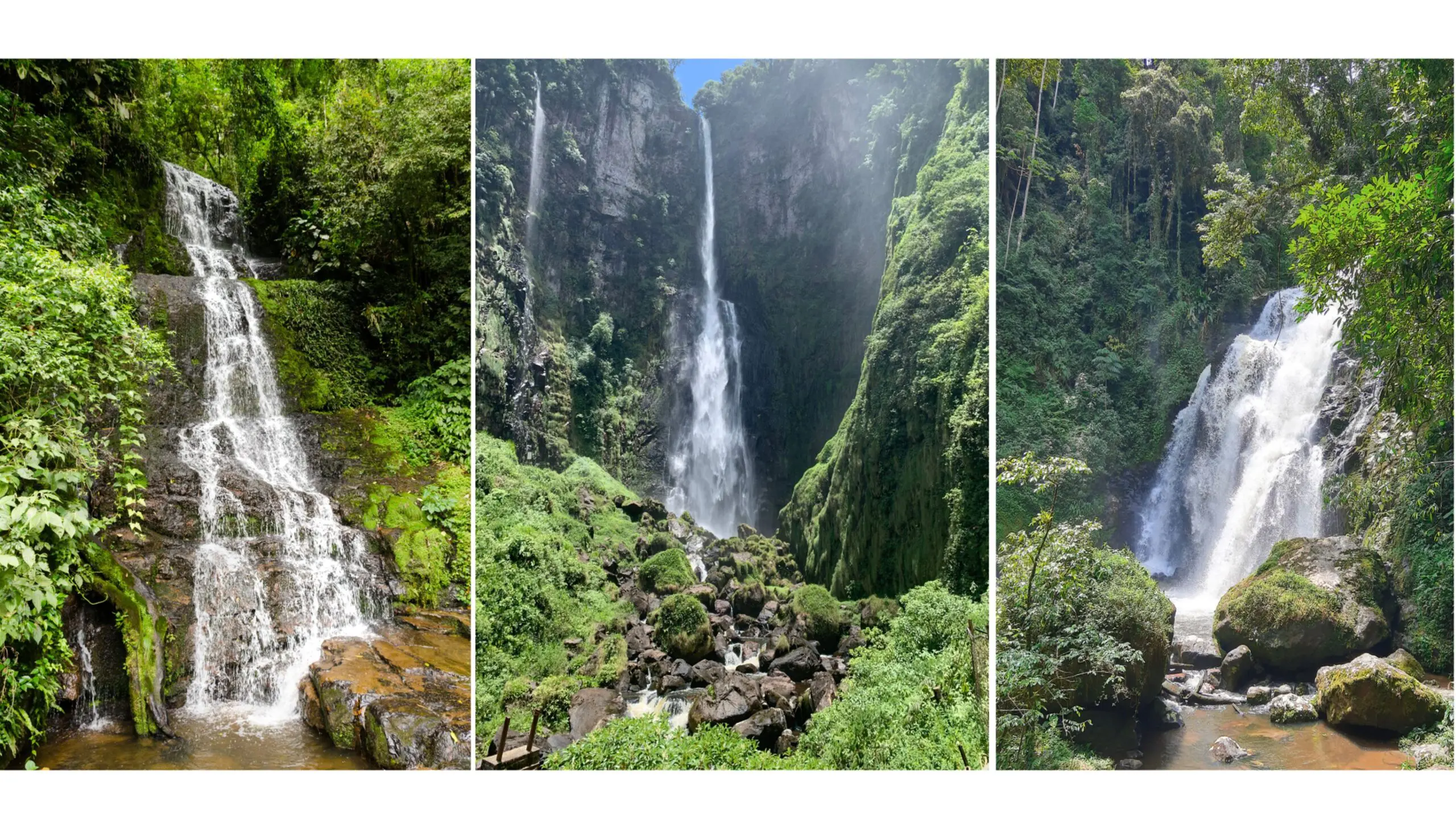 Rota das Cachoeiras reúne 14 quedas d’água em meio à Mata Atlântica, em um dos roteiros de ecoturismo mais famosos do Brasil.