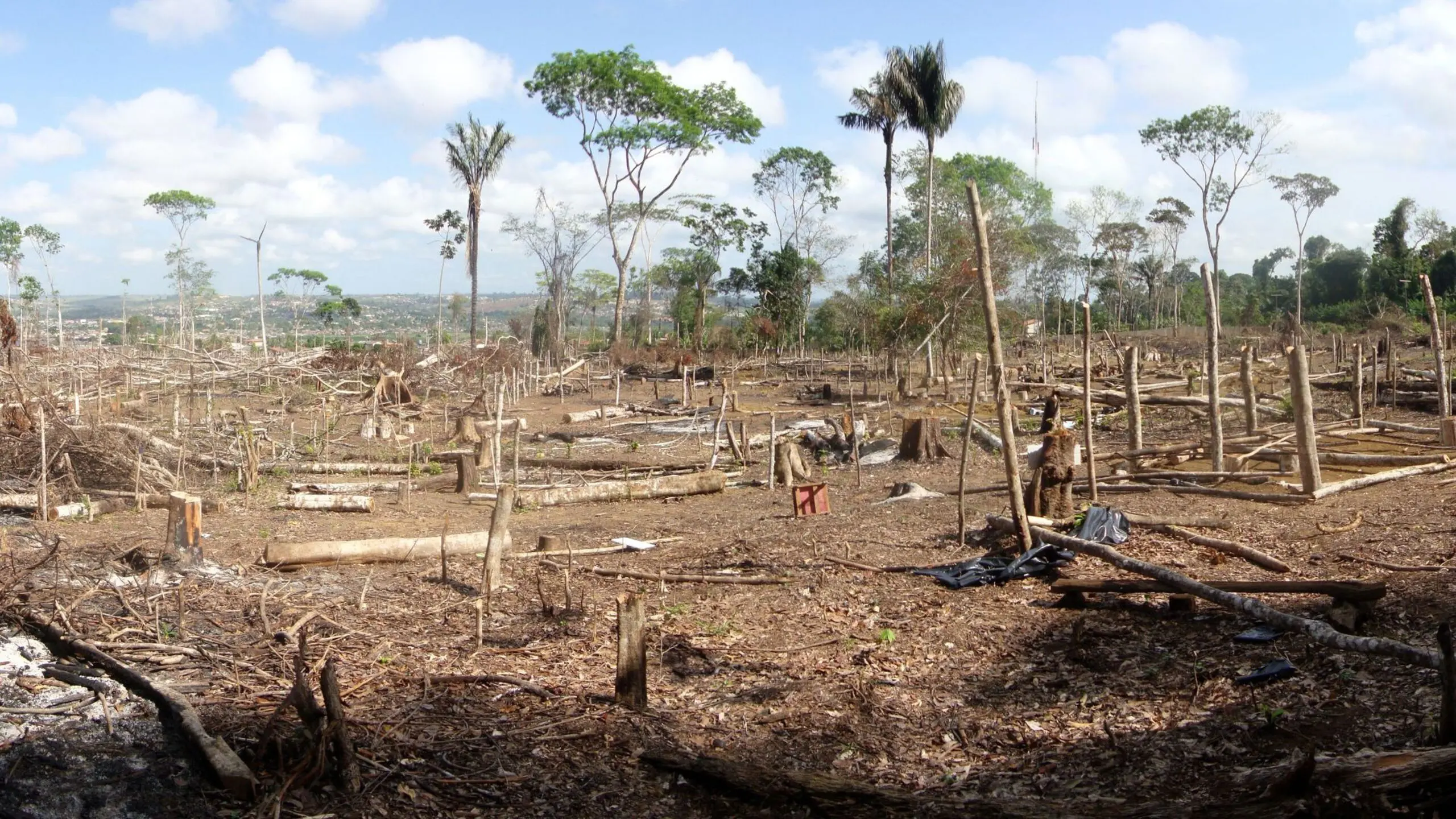O Registro de Imóveis é ferramenta fundamental para a regularização fundiária no Brasil, tanto urbana quanto rural.