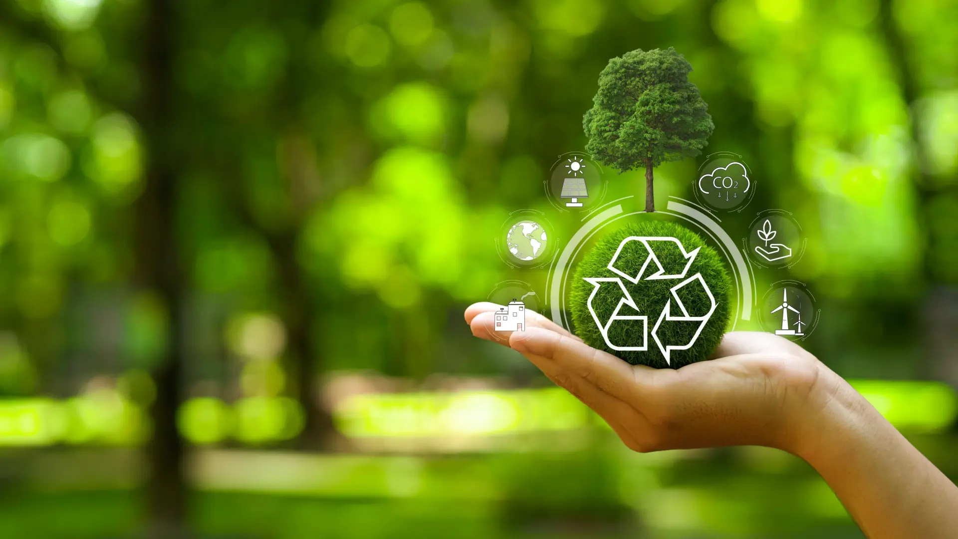 Os serviços da Obra Prima unem inovação e responsabilidade socioambiental para transformar a gestão pública