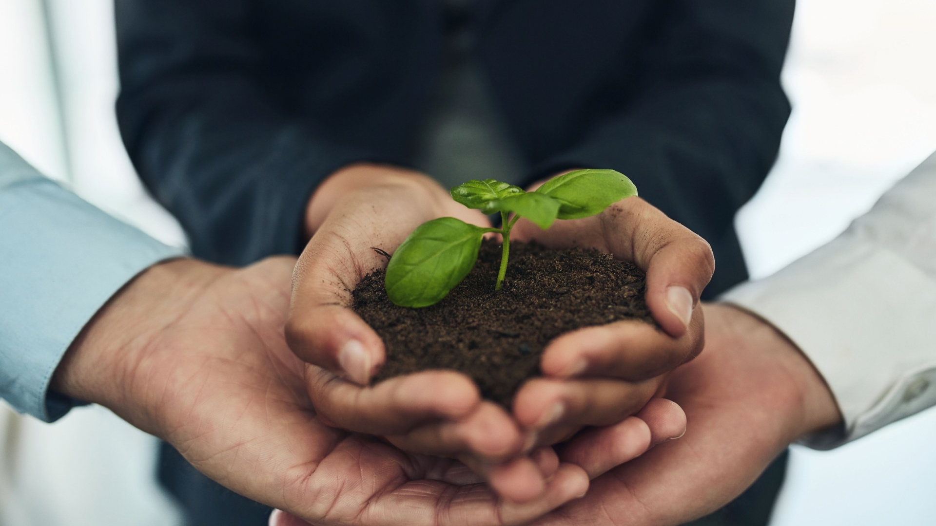 A QualiS aplica uma estratégia de sustentabilidade 360°, integrando responsabilidade socioambiental em todas as etapas dos serviços