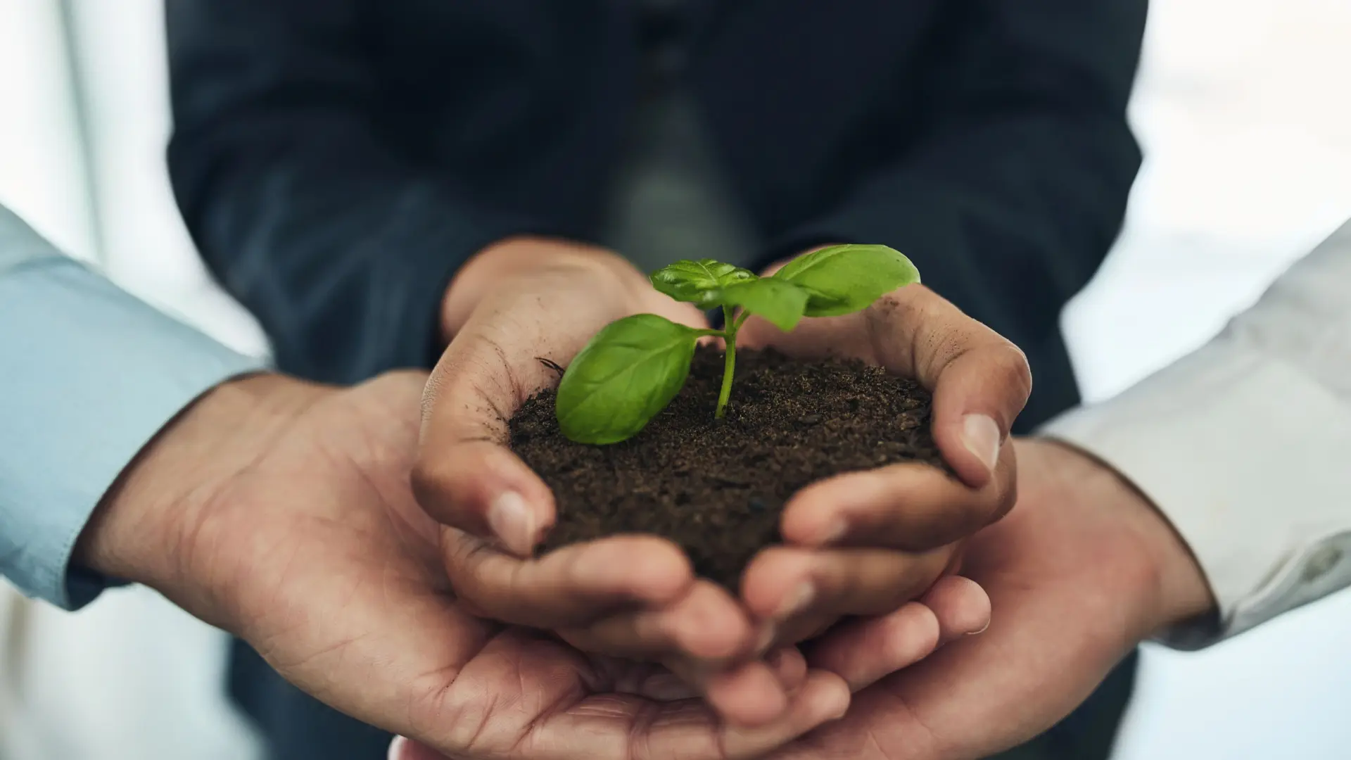 A QualiS aplica uma estratégia de sustentabilidade 360°, integrando responsabilidade socioambiental em todas as etapas dos serviços