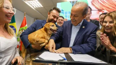 Mutirões de castração de animais em SC fazem parte do programa Pet Levado a Sério, que prevê 80 mil procedimentos em cães e gatos até 2026 em Santa Catarina