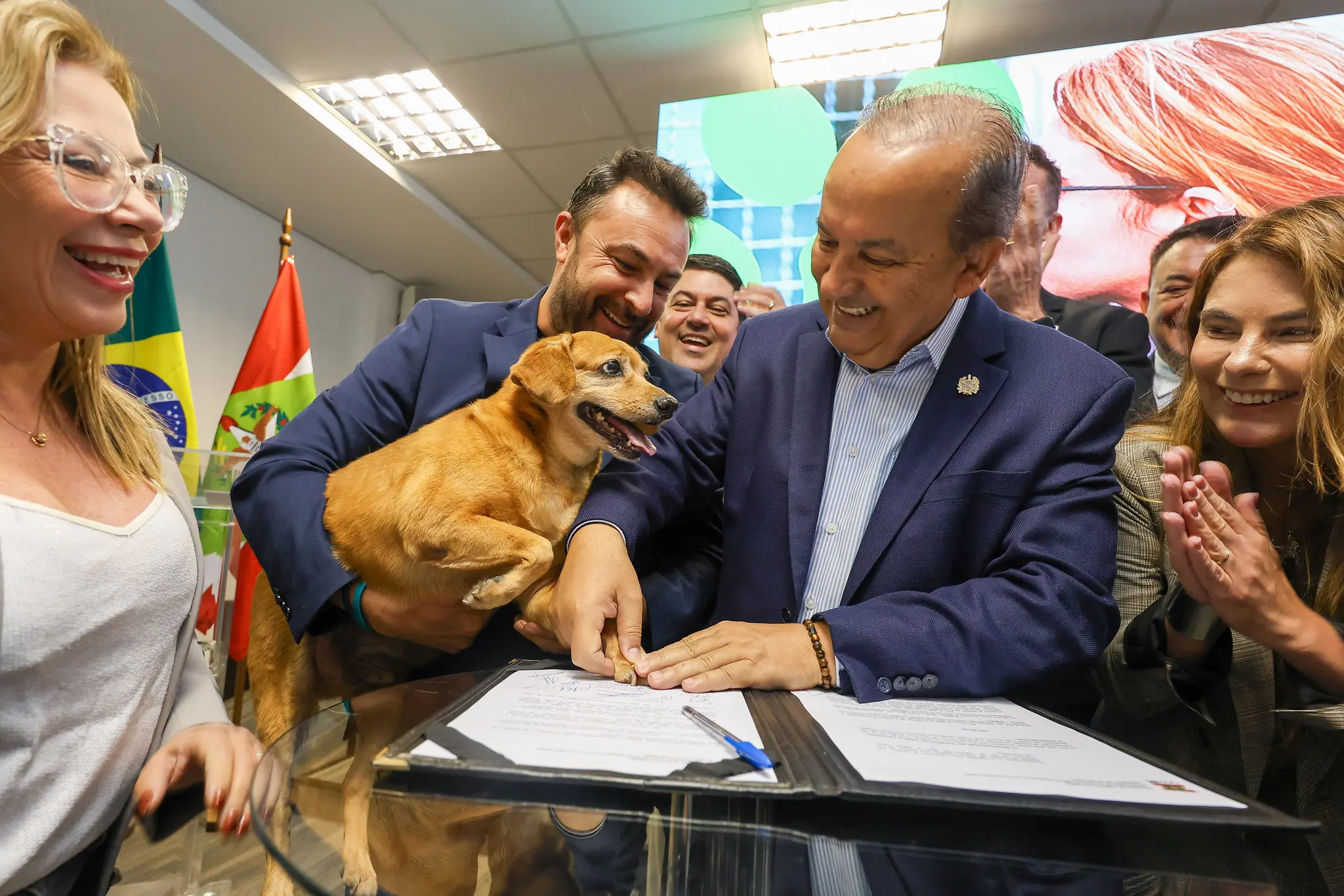 Mutirões de castração de animais em SC fazem parte do programa Pet Levado a Sério, que prevê 80 mil procedimentos em cães e gatos até 2026 em Santa Catarina