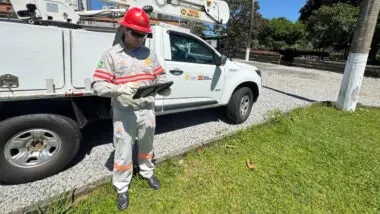 Serão equipados 436 veículos com internet via satélite Starlink.