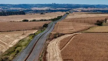 Lote 4 Mota-Engil