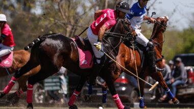 Imagem referente a matéria