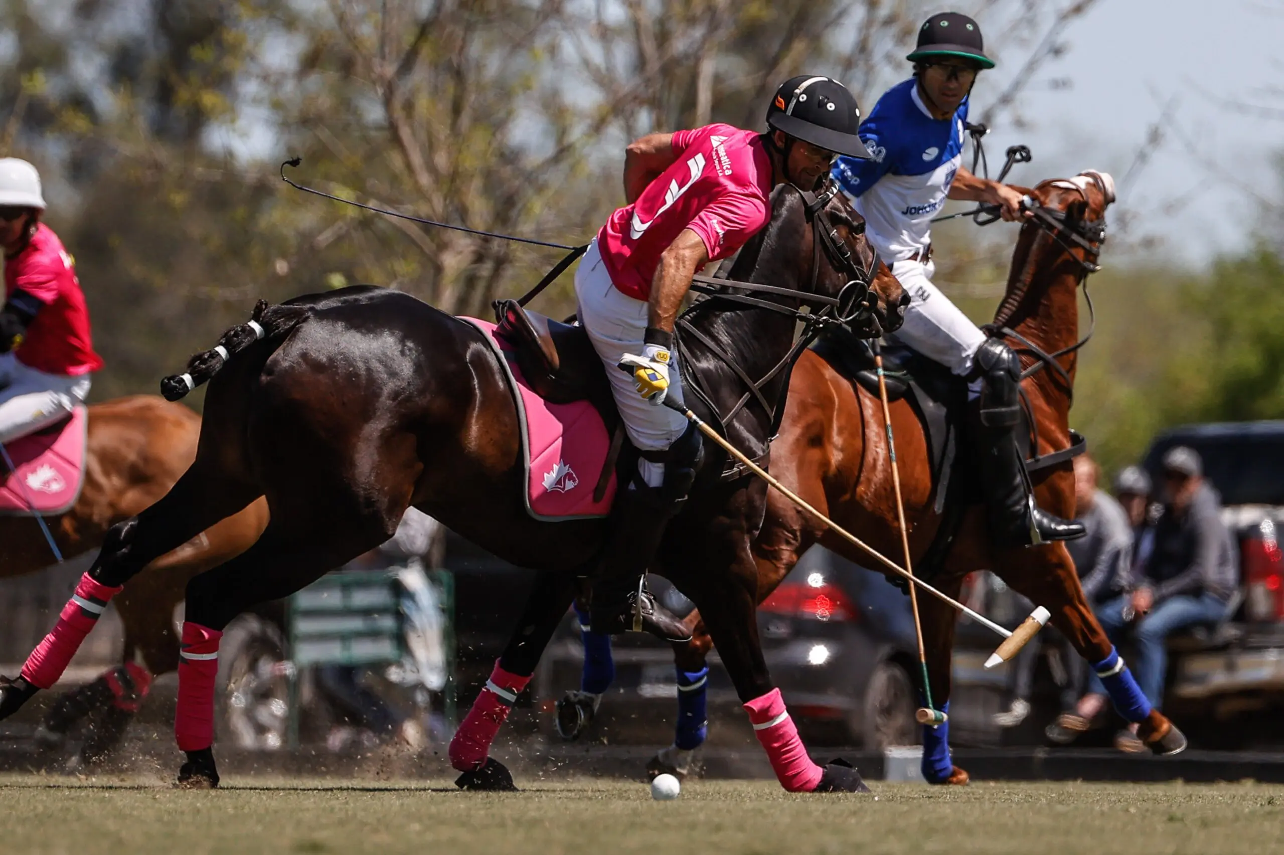 Cavalos geneticamente modificados via tecnologia CRISPR.
