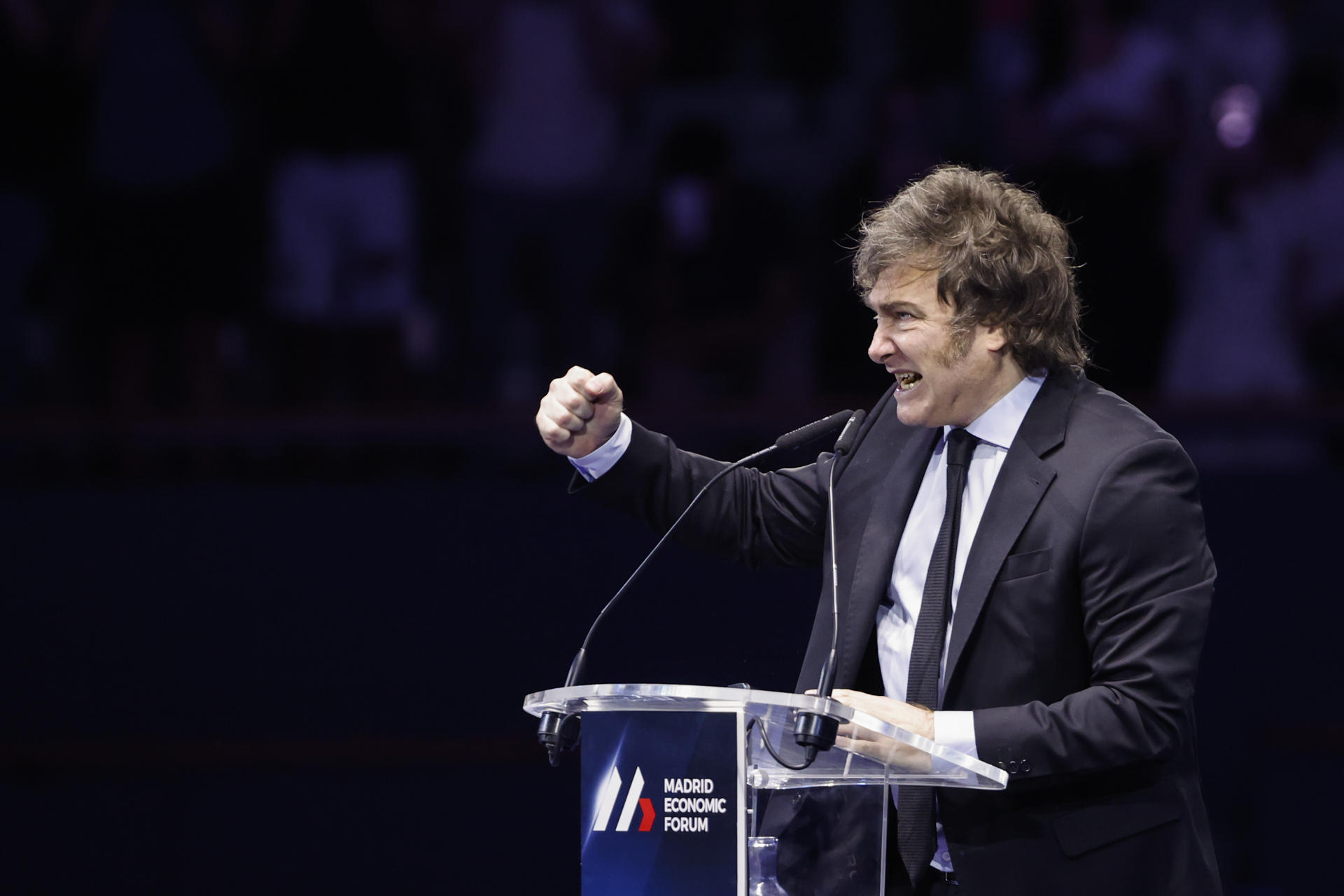 Milei faz apelo aos argentinos pela reforma do Congresso Milei faz apelo aos argentinos pela reforma do Congresso