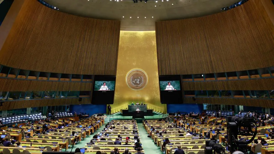 onu 80 anos