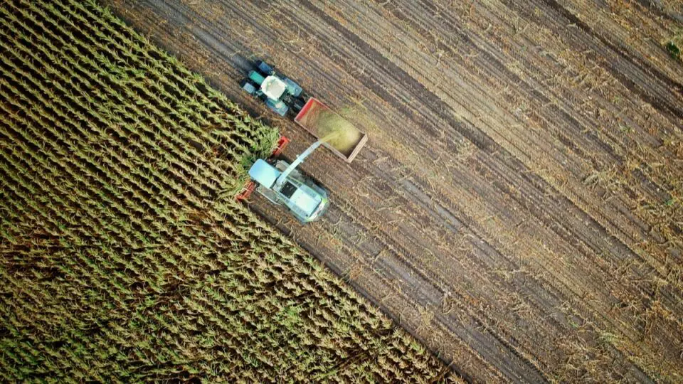 Food Valley Paraná