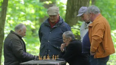 A amizade floresce com interesses comuns, mas não pode ser reduzida a uma checklist moral.