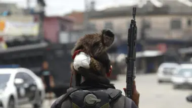 Endurecimento de penas: policial militar durante Operação Contenção, no Rio de Janeiro. Deputados articulam urgência para um projeto de lei que endurece combate ao crime organizado.