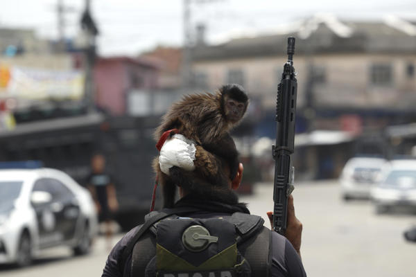 Bilynskyj diz que tem maioria para urgência de PL contra facções