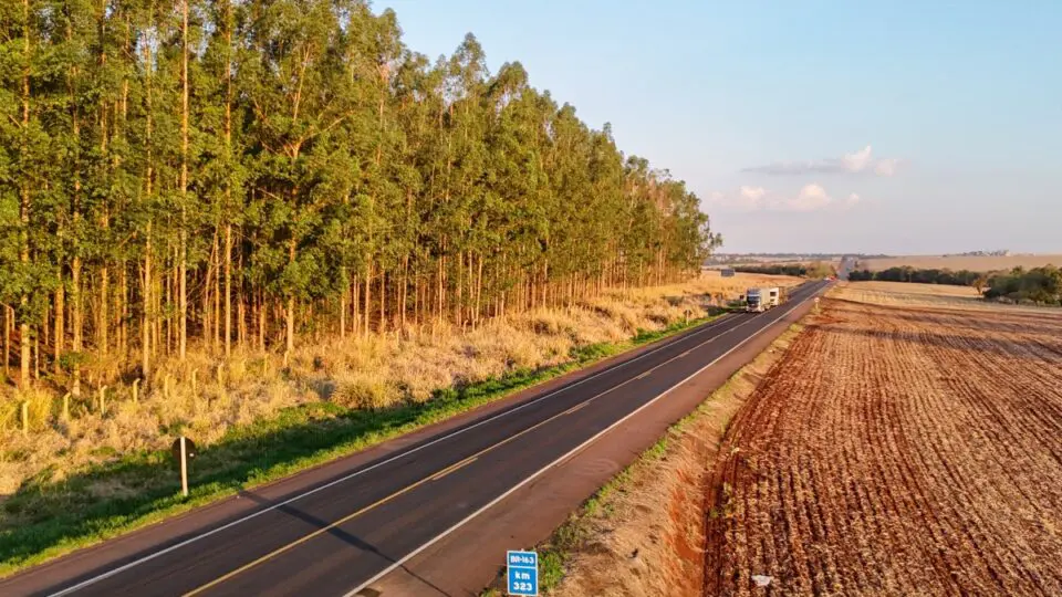 Lote 5 Rodovias Paraná
