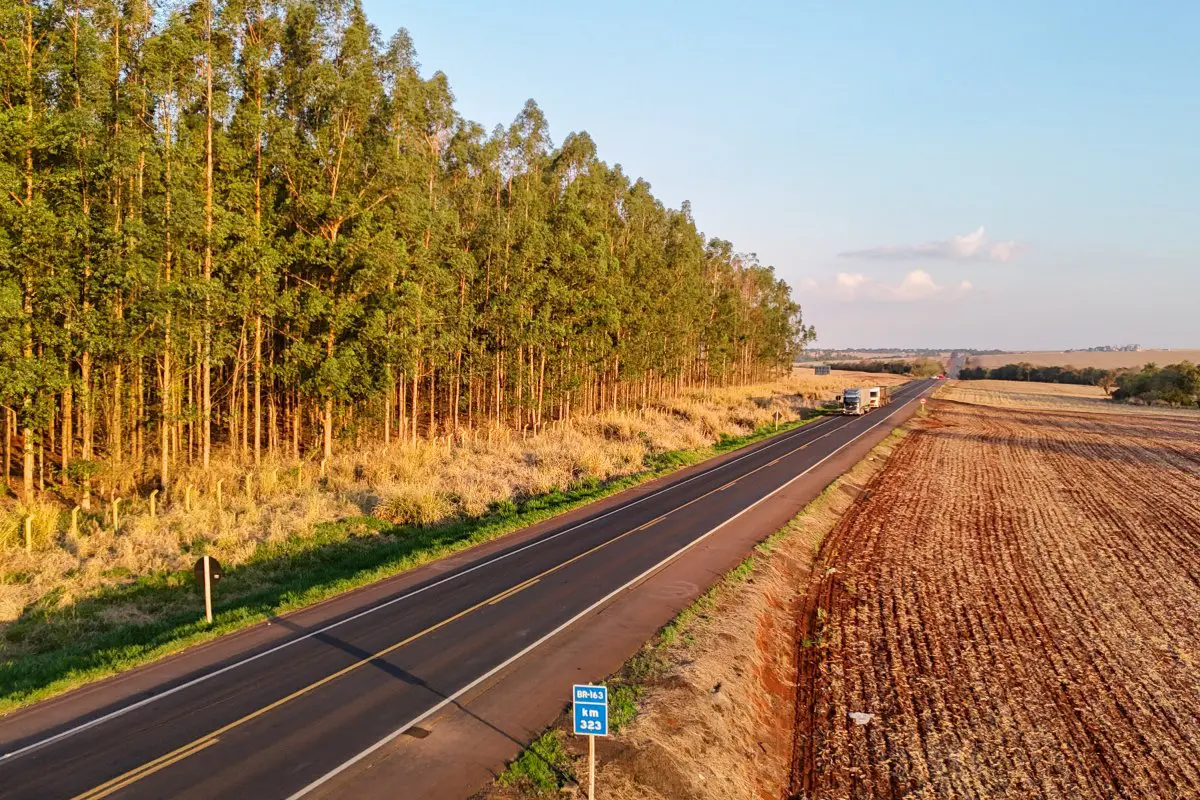 Lote 5 Rodovias Paraná