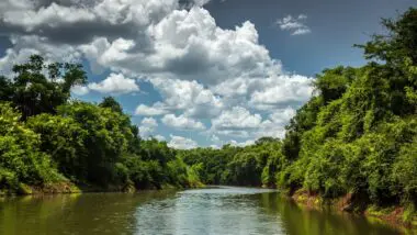 Gesto histórico de Estado brasileiro e Itaipu cumpre parte de acordo homologado pelo STF e é considerado pela gestão federal petista como um marco na política de reparação aos povos indígenas Avá-Guarani.
