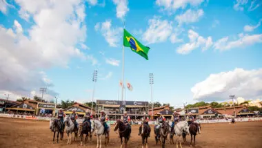 Mangalarga Marchador, símbolo da cultura equestre brasileira, movimenta bilhões e conquista espaço em exposições, cavalgadas e mercados internacionais.