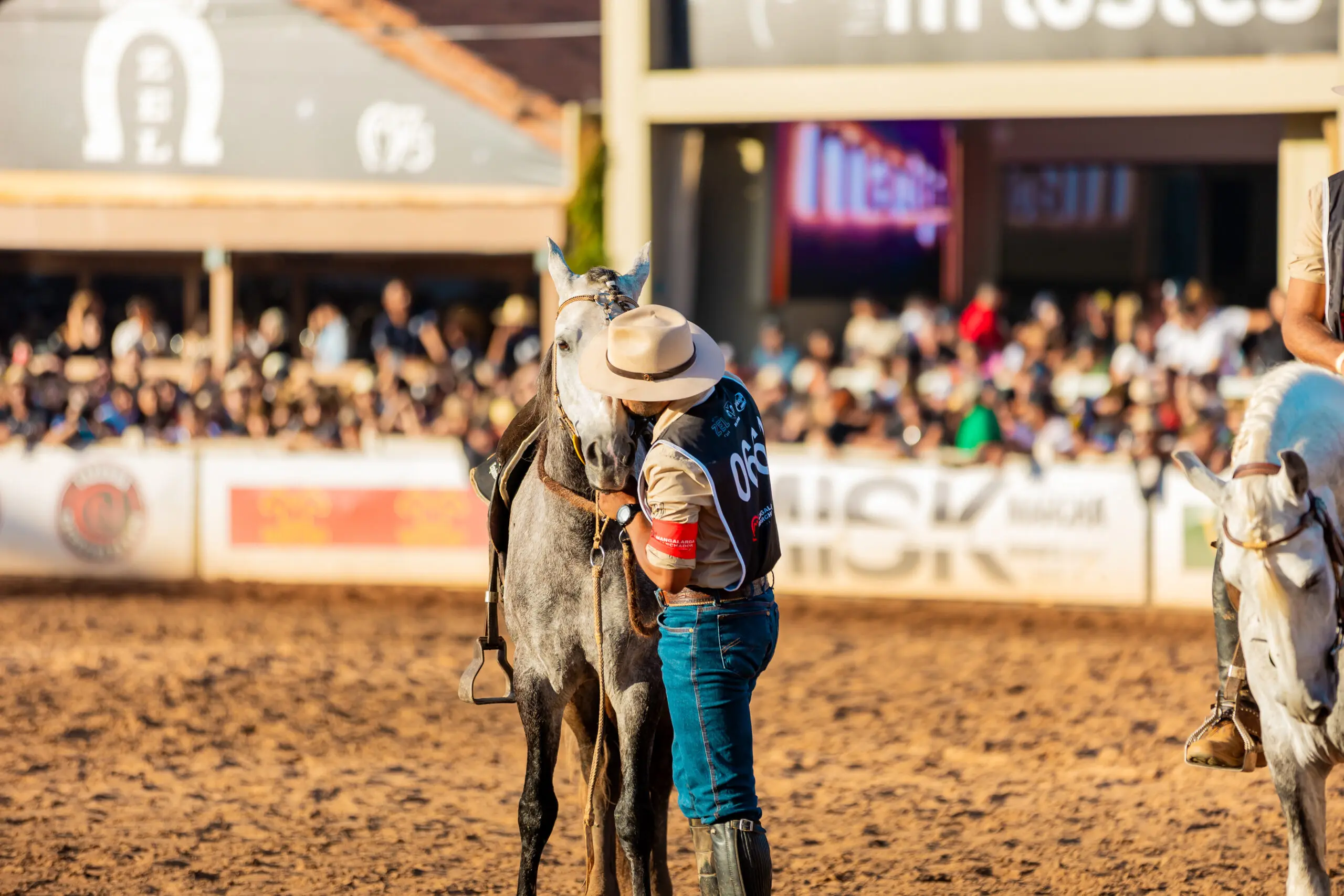 Criado em Minas Gerais, o Mangalarga Marchador alia marcha confortável, docilidade e tradição, consolidando-se como ícone do agronegócio e do lazer rural.