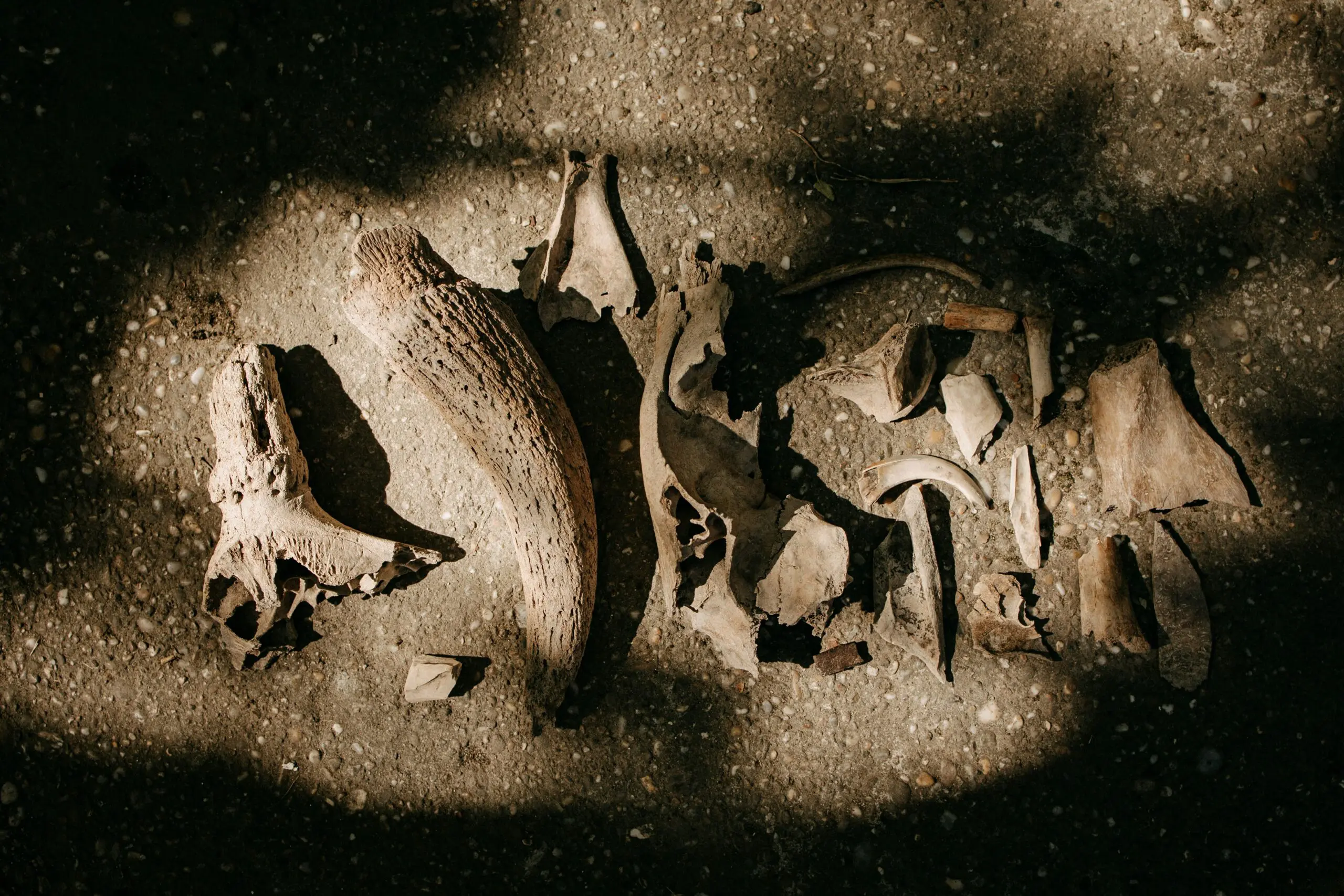 Descobertas arqueológicas de 2025.