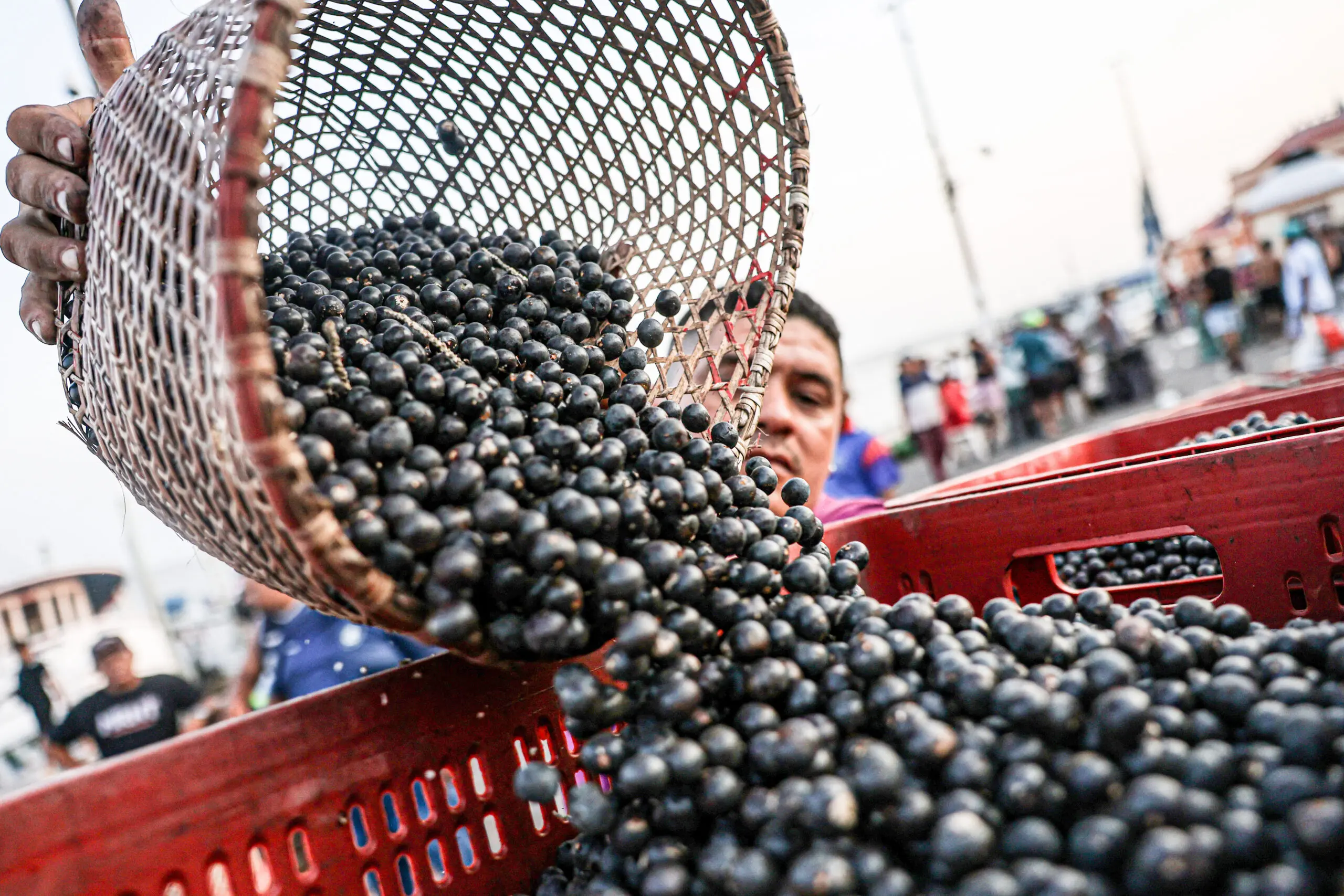Como os vexames da COP 30 expõem a hipocrisia do governo 1 ver o peso mc abr 29092025 22 scaled.jpg