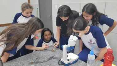 Estudantes da rede estadual durante atividade prática de ciências: a Feira de Cultura Científica incentiva a curiosidade e a formação de jovens pesquisadores no Paraná