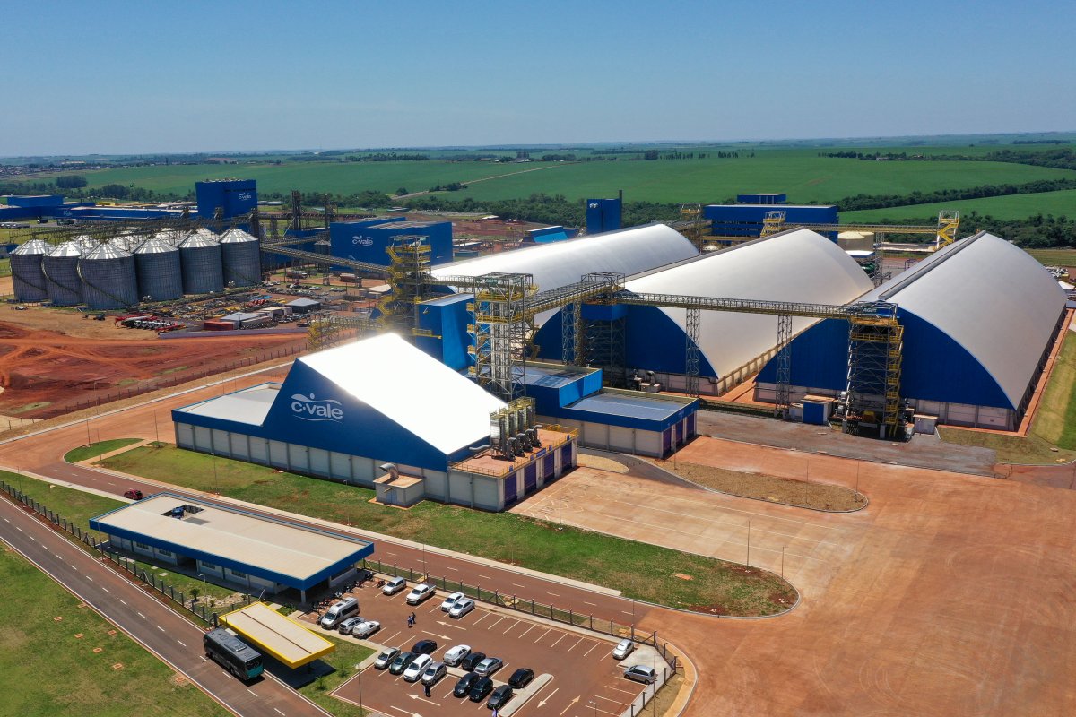 C.Vale vai processar 16 milhões de sacas de soja em 2025