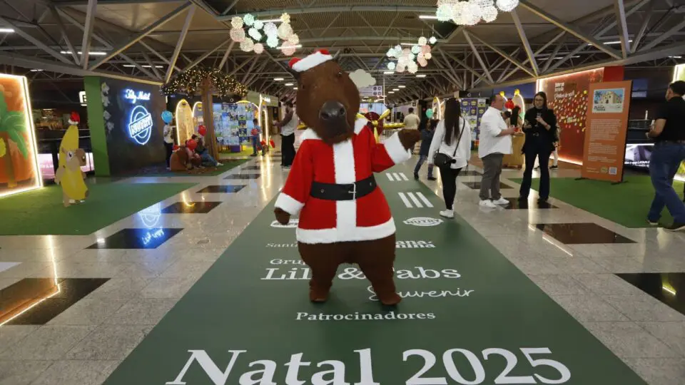 As capivaras natalinas do Aeroporto Afonso Pena dão boas-vindas aos passageiros e celebram o Natal com espírito curitibano