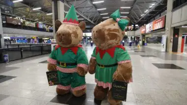 As capivaras natalinas do Aeroporto Afonso Pena dão boas-vindas aos passageiros e celebram o Natal com espírito curitibano