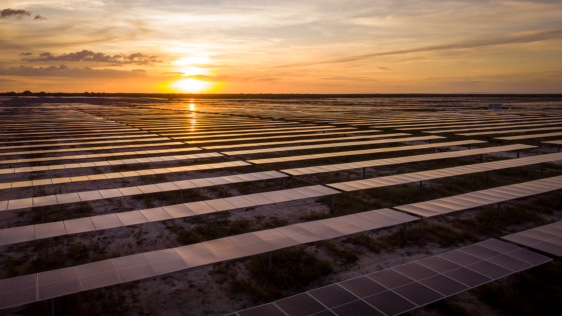 A Rede D’Or assegurou, por 17 anos, o fornecimento de 57 MW médios de energia solar, suprindo toda a demanda elétrica de suas 79 unidades atuais e futuras.