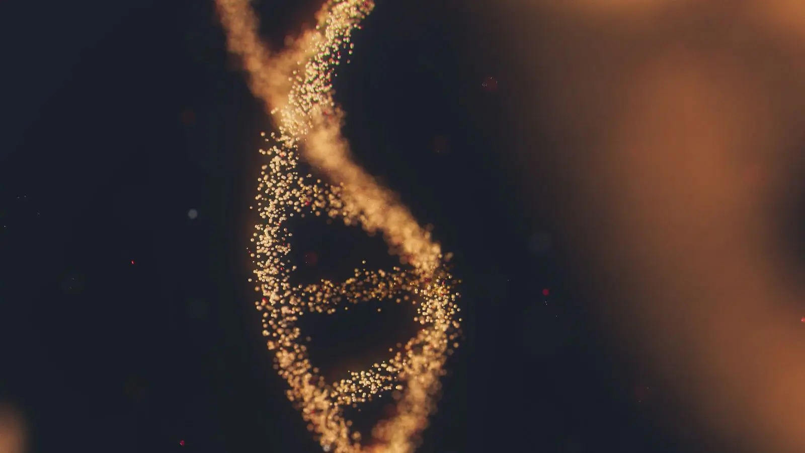 DNA do homem egípcio mais antigo do mundo.