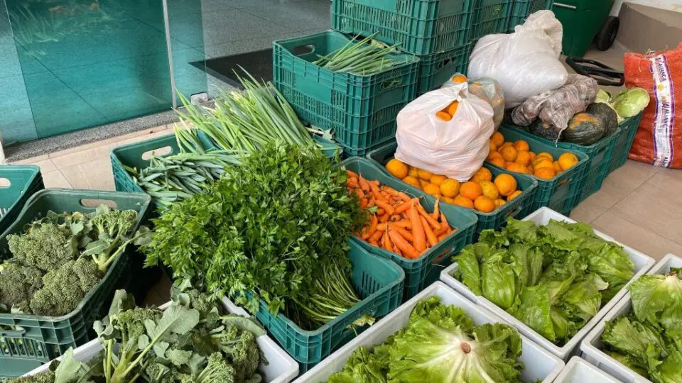 Agricultura familiar e políticas integradas garantem a Santa Catarina o melhor índice de segurança alimentar do país.